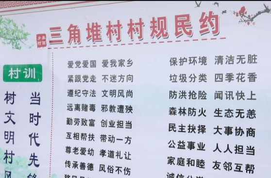 草坪镇：“小村规”撬动大治理   “软约定”提升新文明