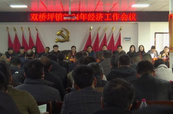 双桥坪镇：部署2024年经济工作