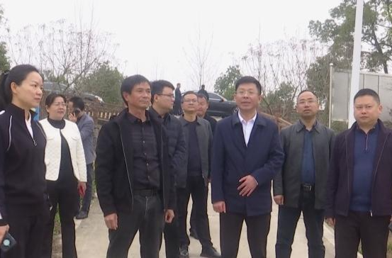何朝辉到镇德桥镇调研督导春耕生产工作