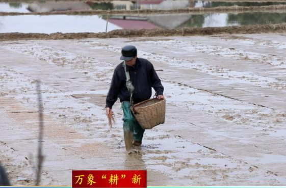 黄土店镇：不误农时   春耕生产有序推进