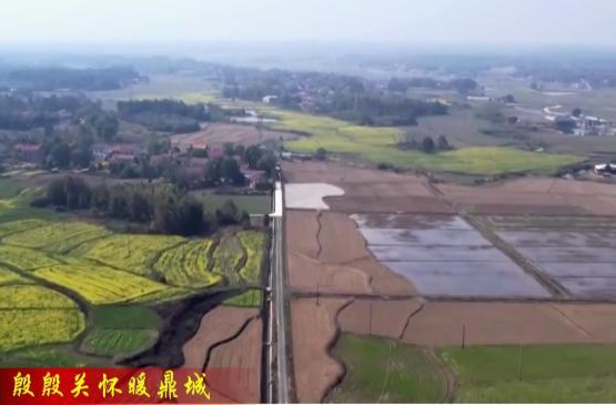 （殷殷关怀暖鼎城） 谢家铺镇：守好粮食安全这块“责任田”