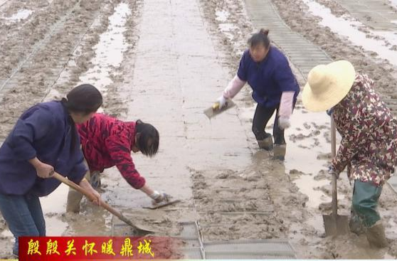 鼎城：牢记习近平总书记嘱托     端稳端牢中国饭碗