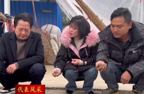 【代表风采】 孙萍：心系群众办实事  兴村为民谋发展