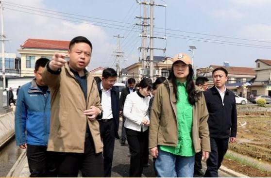 自然资源部法规司司长魏莉华率调研组来鼎城调研