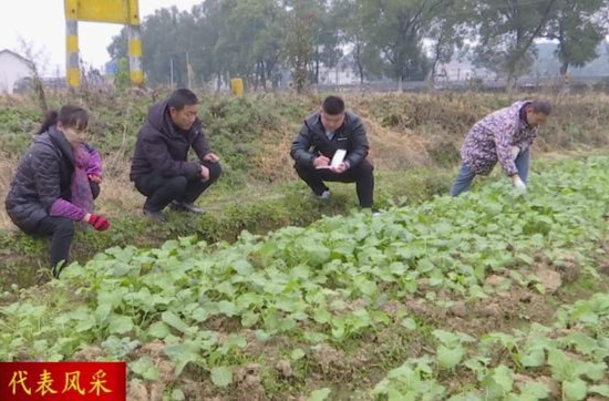 代表风采·陈帅宇：为乡村振兴交出新农人答卷