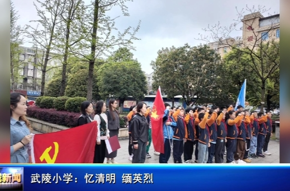 武陵小学：忆清明 缅英烈