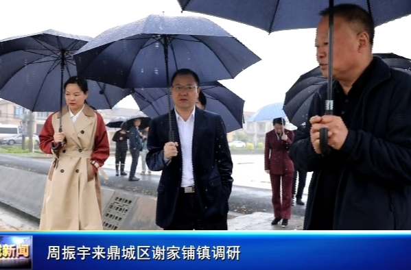 周振宇来鼎城区谢家铺镇调研