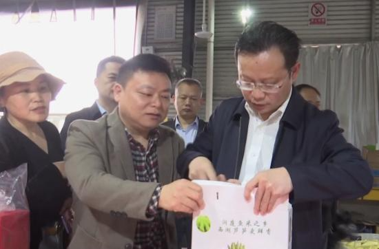 向秀亮来鼎城调研乡村振兴工作