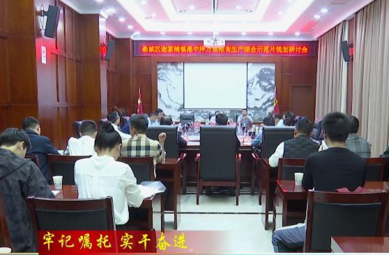 鼎城：举行谢家铺镇万亩粮食生产综合示范片规划研讨会
