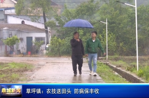 草坪镇：农技送田头 防病保丰收