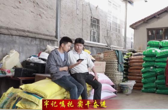 【牢记嘱托  感恩奋进】港中坪里有“粮”策：村里回来了懂科技的年轻人