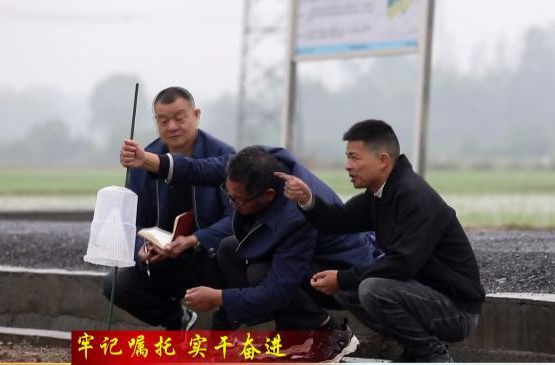 【牢记嘱托  实干奋进】港中坪里有“粮”策：“诱捕器”绿色防控    助力粮食丰产丰收