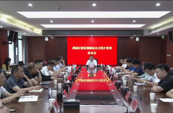 陈远主持召开鼎城区谢家铺镇综合示范片规划研讨会