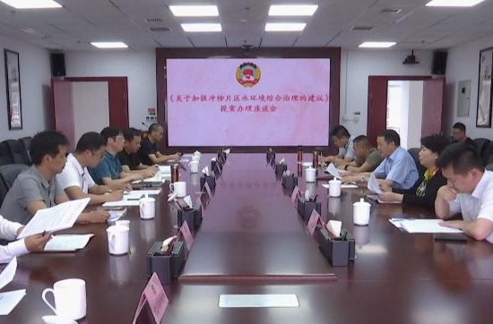市生态环境局就政协常德市八届三次会议第023号提案来鼎城开展协商