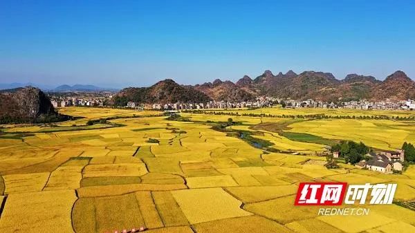 谁是湖南“产粮一哥”