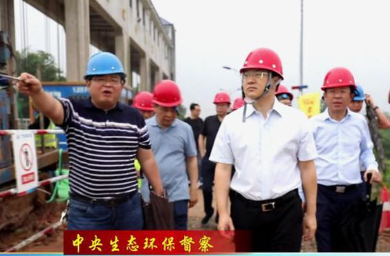 【中央生态环保督察】谭丁来鼎城督导检查防汛备汛和突出生态环境问题整改工作