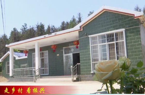 蔡家岗镇：创建“美丽庭院”     打造和美乡村