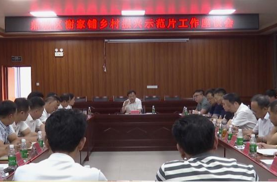 市领导到谢家铺镇乡村振兴示范片走访调研