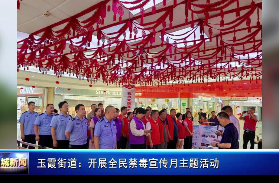玉霞街道：开展全民禁毒宣传月主题活动