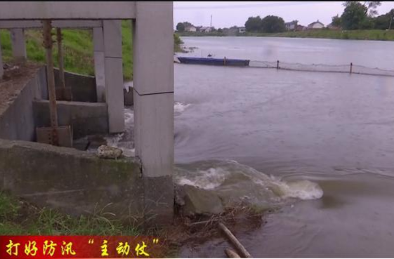 【打好防汛“主动仗”】八官垸分指：上足力量 全天候监控水位