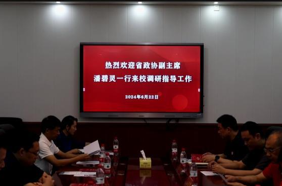 潘碧灵率队来鼎城调研