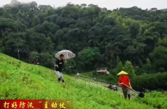 【打好防汛“主动仗”】鼎城：严防死守 织密防汛“安全网”