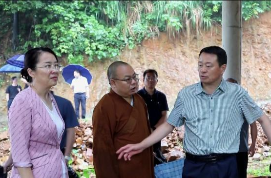市政协鼎城活动组委员开展视察活动