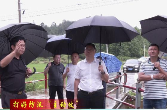 【打好防汛“主动仗”】陈远督导检查防汛及山洪地质灾害防御工作