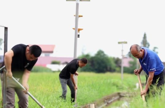 鼎城：科学防灾减灾   力保夏粮丰收