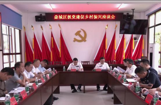 陈远主持召开鼎城区抓党建促乡村全面振兴工作座谈会