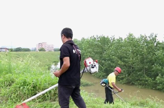 鼎城: 干群齐心协力  共筑防汛坚固防线