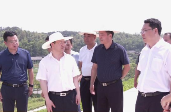 周振宇来鼎城督导检查防汛抗灾工作