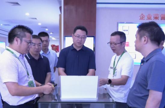 陈远到海口市、湛江市开展招商考察