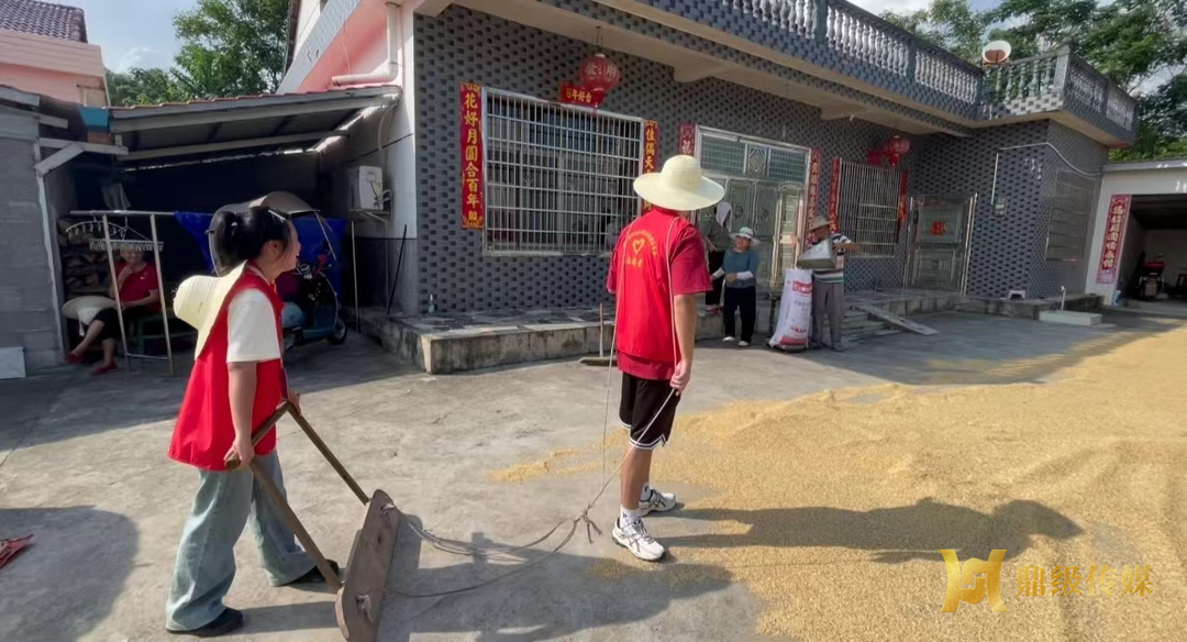 谢家铺镇：青春助力收晒谷 关爱儿童育真情