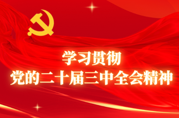 学习贯彻党的二十届三中全会精神