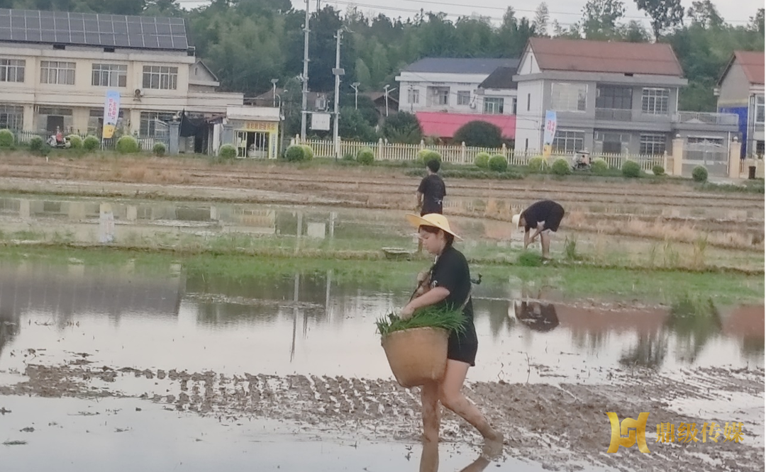湖南应用技术学院：和美乡村，你我共建