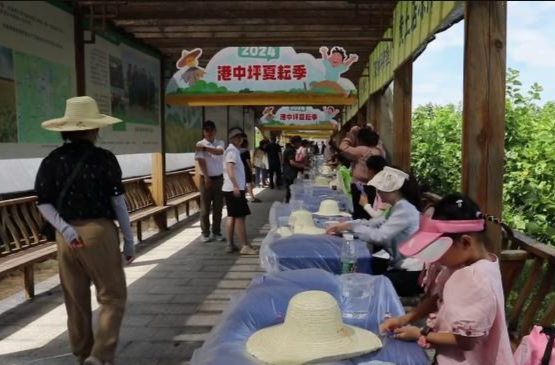 2024鼎城·港中坪夏耘季农文旅系列活动拉开序幕