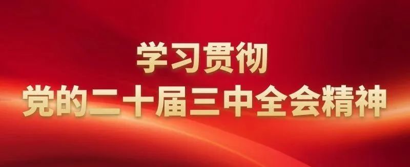 高举改革开放旗帜 推进强国复兴伟业——中央和国家机关、人民团体深入学习贯彻党的二十届三中全会精神