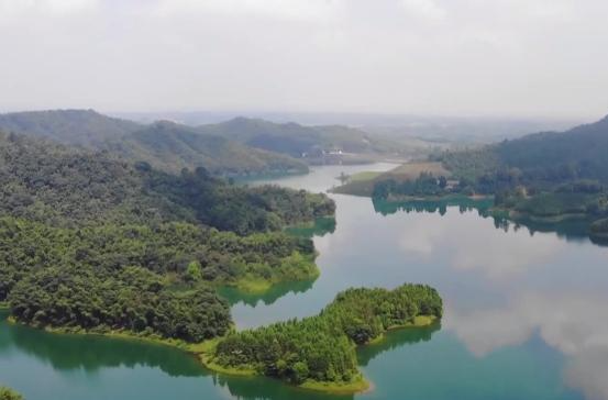花岩溪景区：引鹭回归 带火“美丽经济”