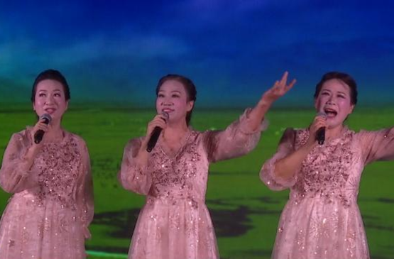 鼎城:稻田里的音乐节  奏响“乡村振兴”乐章