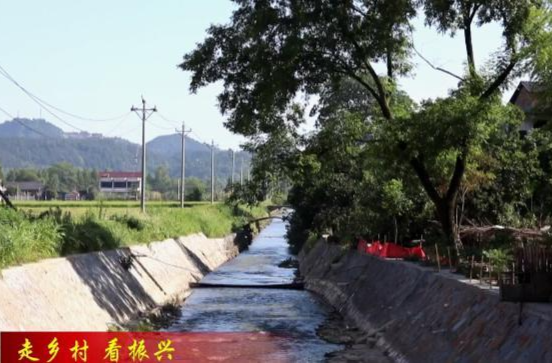 【走乡村  看振兴】黄土店镇：加强农业基础建设 助力粮食稳产丰收