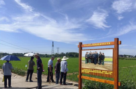 石板滩镇:探索学习乡村振兴发展新模式