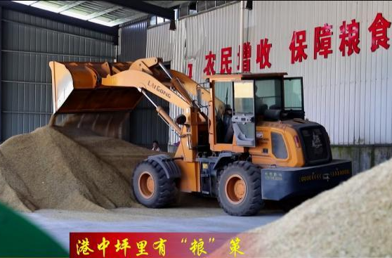 谢家铺镇：机械化收割烘干  助力夏粮颗粒归仓
