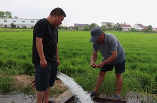 石公橋鎮(zhèn)：引水抗旱 晚稻“解渴”