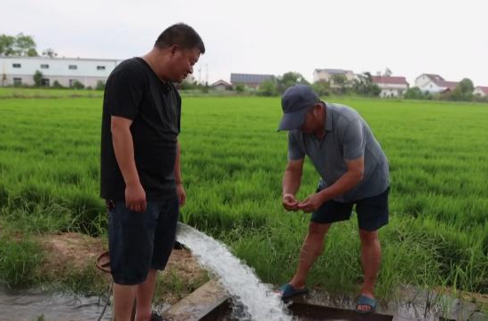 石公桥镇：引水抗旱 晚稻“解渴”