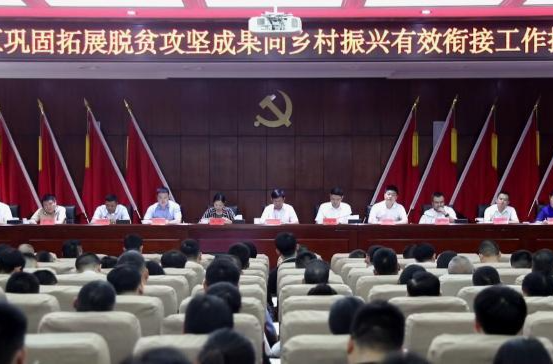 鼎城区巩固拓展脱贫攻坚成果同乡村振兴有效衔接工作推进会举行