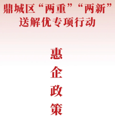 鼎城区“两重”“两新”送解优专项行动惠企政策