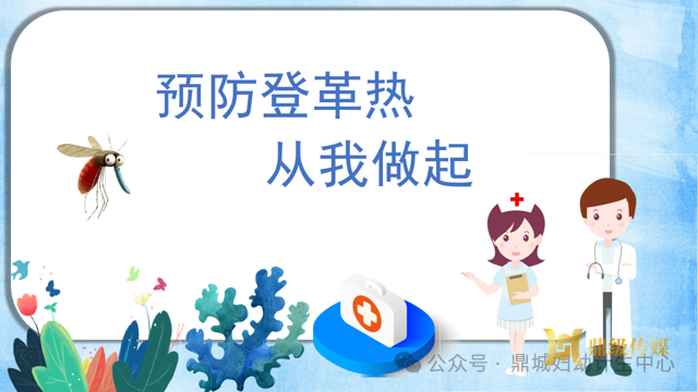 鼎城妇幼：预防登革热 从我做起