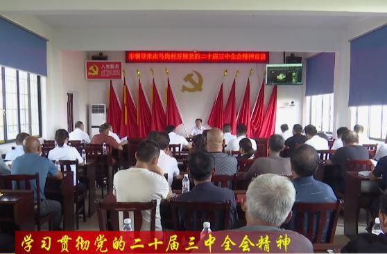 市领导来韩公渡镇走马岗村宣讲党的二十届三中全会精神