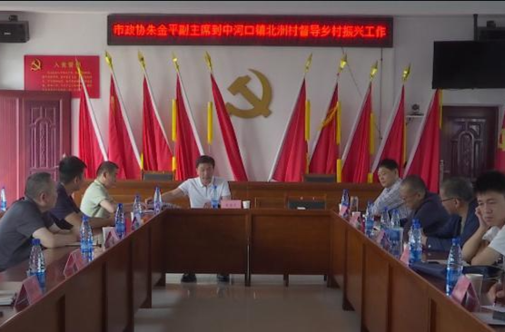 朱金平到中河口镇北洲村督导乡村振兴工作